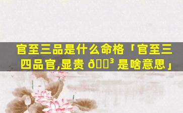 官至三品是什么命格「官至三四品官,显贵 🌳 是啥意思」